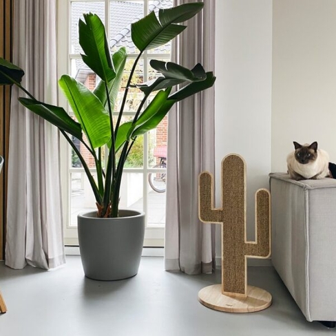 Beeztees răzuitoare pentru pisici CACTUS OZE 40x40x80cm