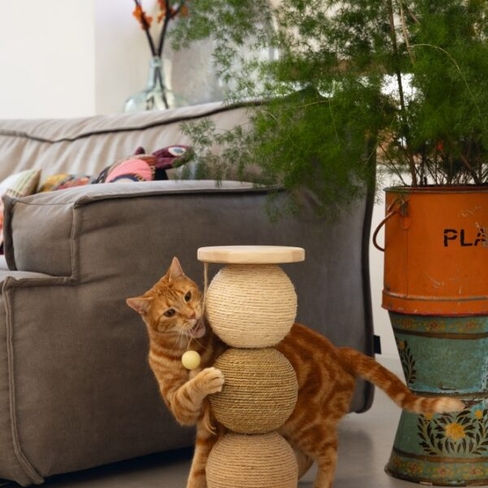 Beeztees кошачий скребок GLOBES ELIO