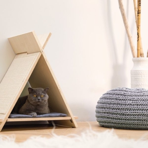 Beeztees răzuitoare pentru pisici RINTY 55x35x60cm