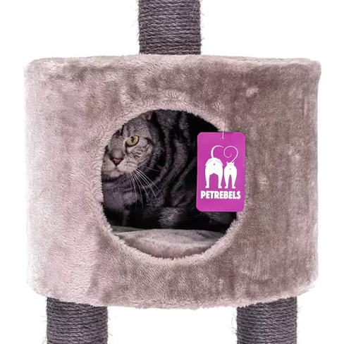 PETREBELS KINGS & QUEENS Anna 240 Cappuccino