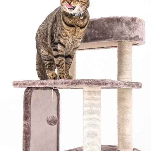 PETREBELS LITTLE REBLS LITTLE ROCK 99 Cappuccino