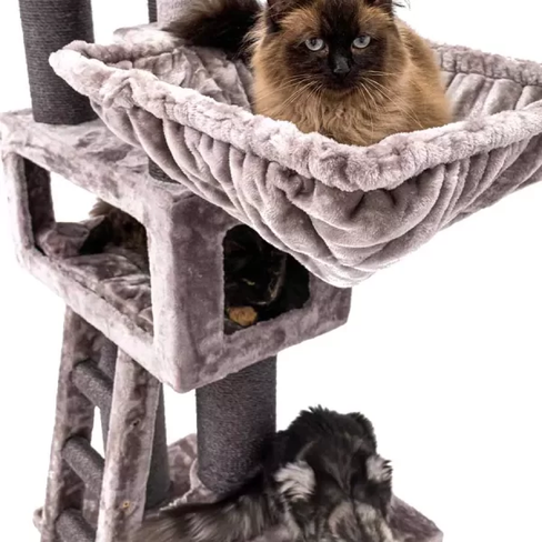 PETREBELS Lucky Bastards Parklane 175 Cappuccino