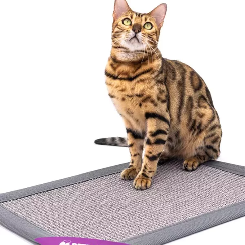 PETREBELS More Mastermat 60