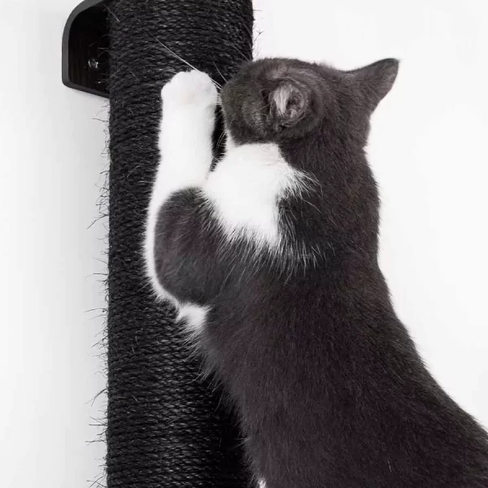 PETREBELS WALL of REBELS Climb 1560 – set Wenge