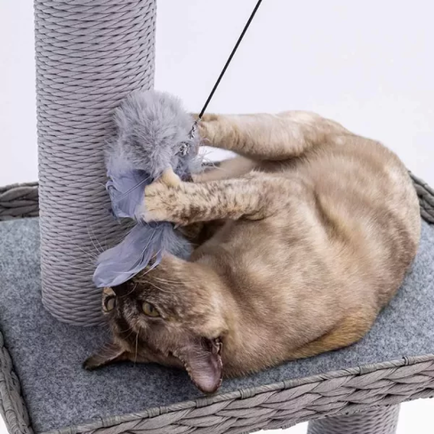 PETREBELS More FUNKY REBELS 3X