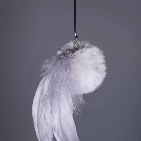 PETREBELS More FUNKY REBELS 3X