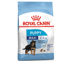 ROYAL CANIN MAXI PUPPY