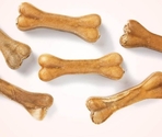 Antos Pressed Bone Pizzle 1pc