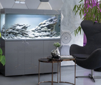AQUAEL Aquarium Glossy ST 80  D&N