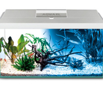 AQUAEL Aquarium set LEDDY PLUS PAP-75 D&N LED