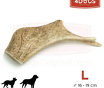 FALLOW DEER ANTLER CHEW HARD