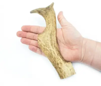 FALLOW DEER ANTLER CHEW HARD