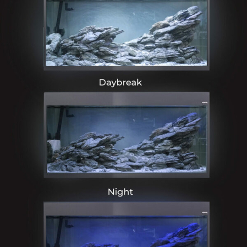 AQUAEL Aquarium Glossy ST 80  D&N