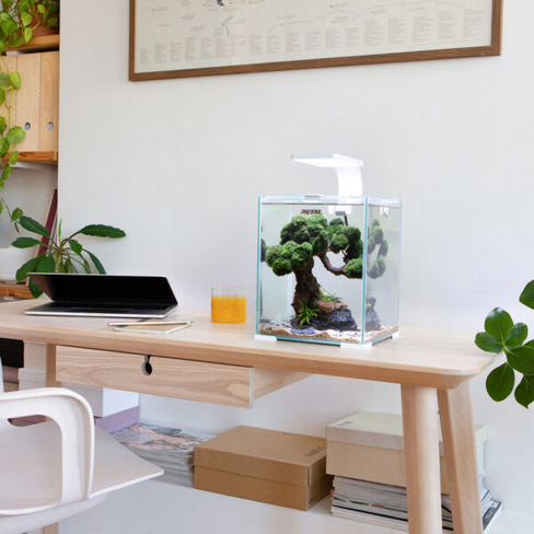 Aquael Acvariu SHRIMP SET SMART D&N 30