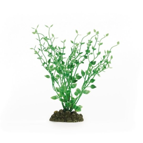 BEEZTEES plante din plastic