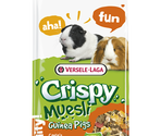 Crispy Muesli Guinea Pigs