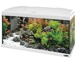 Аквариум CAPRI 80
