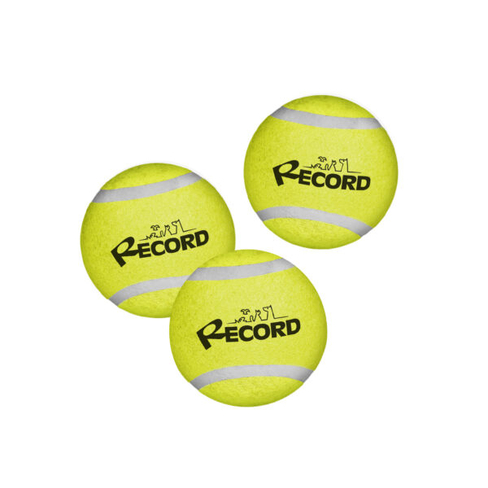 Record Мяч теннисный 3PZ TENNIS FUN