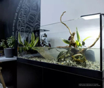 Aquael Аквариум AQUATERRARIUM 60