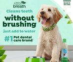 Fresh Breath Dental Health Solution
