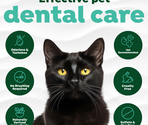 Fresh Breath Dental Health Solution Cat
