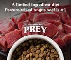 TASTE OF THE WILD PREY ANGUS BEEF DOG
