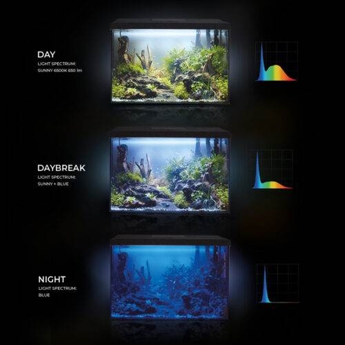 AQUAEL Aquarium set LEDDY 60 D&N 2.0