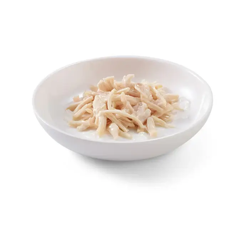 SCHESIR Cat Pouch Chicken Fillets in jelly 85gr