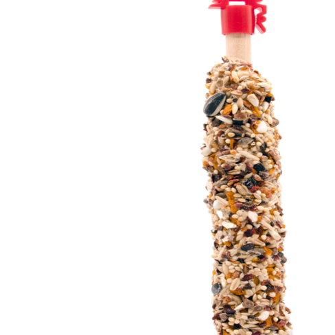 STICKS BIG Parrakeets with Mango&Rosehip 140gr