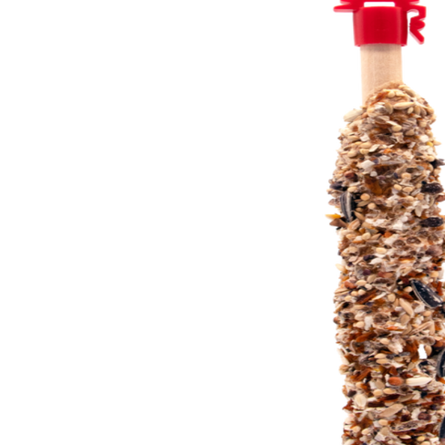 STICKS Parrots with Banana&Coconut 140gr