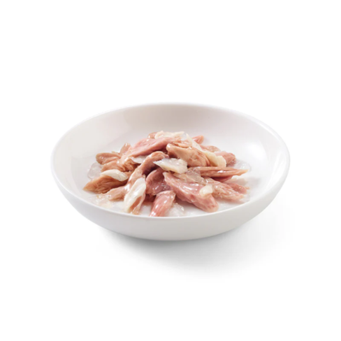 SCHESIR Cat Pouch CHICKEN WITH COD Jelly 85gr