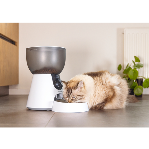 BEEZTEES CAT Умная кормушка для кошек с камерой Smart Feeder Cam White