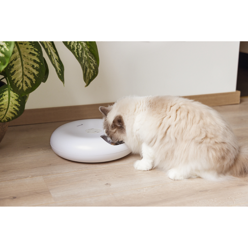 BEEZTEES Cat Hrănitor automat pentru pisici ONNI White