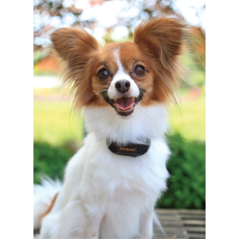 PetSafe Zgardă cu vibrații pentru controlul lătratului UK CA