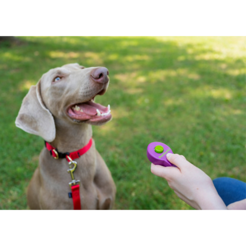 petsafe CLIKR TRAINING GUIDE PACKAGE