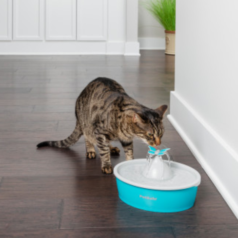 Petsafe Fântână de apă pentru animale de companie