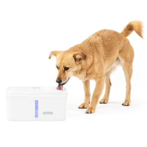 PETSAFE VIVA Fântână de apă pentru animale de companie