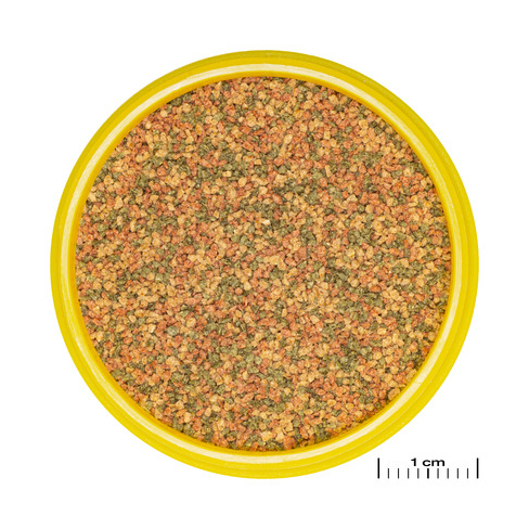 JBL PRONOVO BEL GRANO