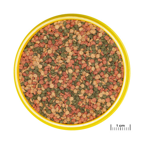 JBL PRONOVO BEL GRANO