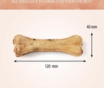 Antos Pressed Bone Pizzle 1pc
