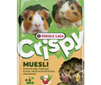 Crispy Muesli Guinea Pigs