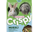 Crispy Muesli Rabbits