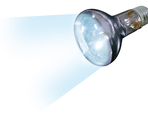 Flamingo Лампа дневного света DAYLIGHT SPOT JOULE – 100W