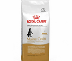 ROYAL CANIN MAINE COON KITTEN