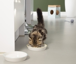 BZ castron din ceramica Zina
