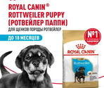 Royal Canin Rottweiler Puppy