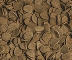 Sera Vipachips Wafers