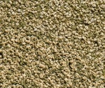 Sera Vipagran Granules