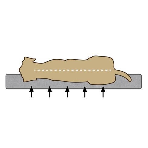 BEEZTEES лежак ортопед. Memory Foam ZIA
