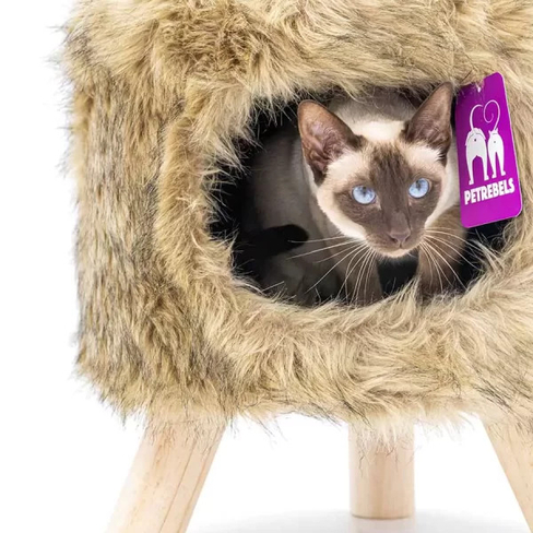 PETREBELS KINGS & QUEENS VICTORIA 45